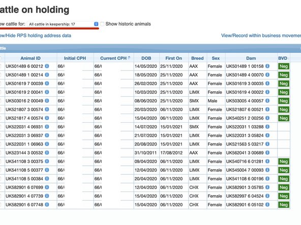 Your cattle on holding listing presents each animal , it's date of birth, when it first joined the herd, breed, sex, dam and individual  BVD status (if it has one).