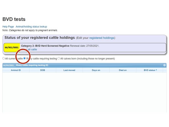 Cattle brought onto a holding requiring testing will be shown by selecting Risky Cattle Requiring Testing below the top banner.
