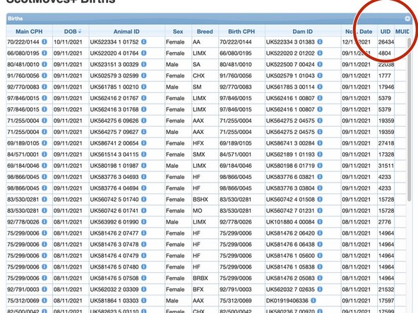The UID, user identifier and the MUID, masquerade identifier are the last 2 columns of the table.