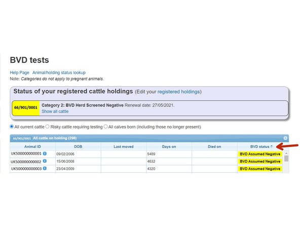 The table of data can also be sorted by selecting the column header. For example by clicking on the BVD Status column, this will sort the data to bring either all Assumed Negative, Negative,  or untested animals to the top by pressing the up and down arrows on the header.