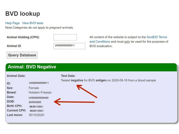 The BVD results of the animal will be listed if it has been  antigen or antibody tested along with further information on Sex, Breed, Dam ID, DOB, Current CPH and Last Move