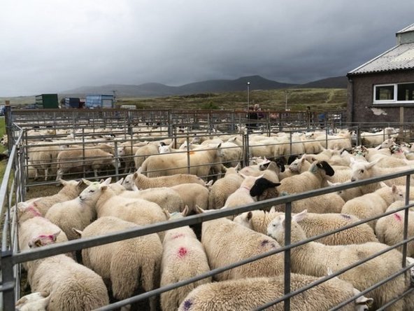 1. Register on IOMEID.COM