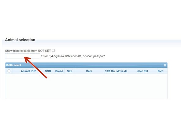 All cattle will show here once you have entered the movement information. Where the arrow is showing you can enter animal ID in here or select individual ID's from the table  below
