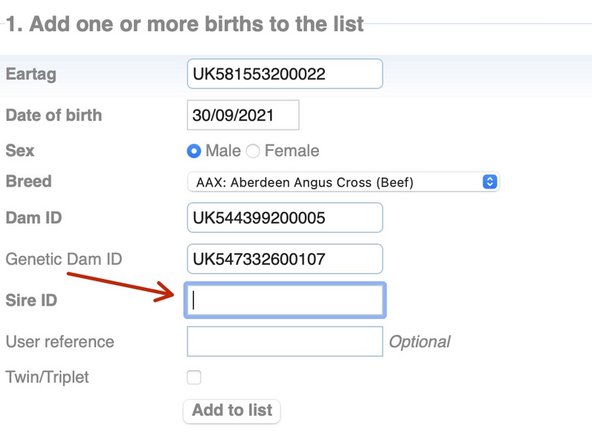 The IDs of bulls on your holding appears in a drop down when you start typing.