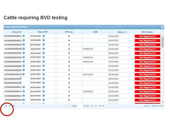 The magnifying glass at the bottom left hand corner of the table will allow you to search for an individual Animal ID, Main CPH, CPH BVD Category or the date an animal moved on.