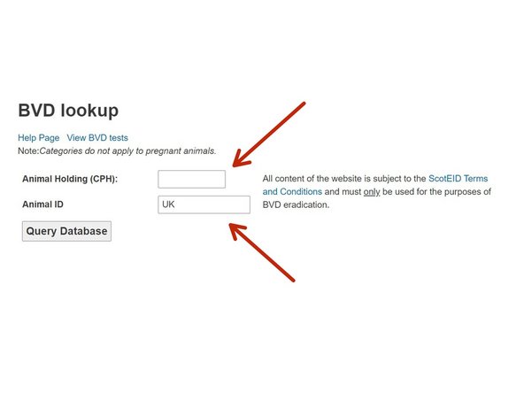 The CPH of the holding or animal ID can be entered in the boxes provided then click on Query Database.