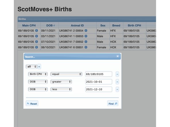 In this example, the search is for calves born between the 1st October and the 10th December for a particular holding.