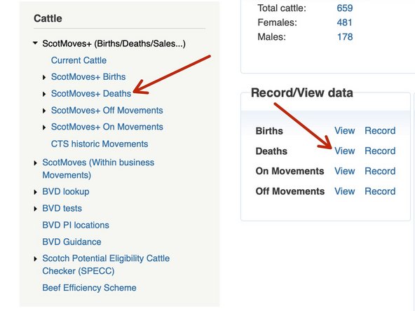 There are 2 options for 'View Deaths'