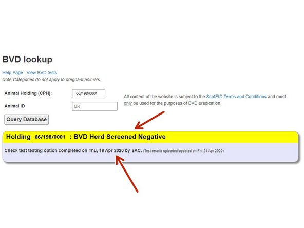 When checking a holding's BVD status, a box will appear stating if the holding is negative, not negative, positive or non breeding.