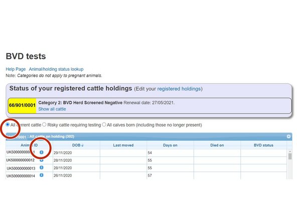 ID's of All Current Cattle on the holding will be listed in the table, along with the DOB, date animal last moved, number of days on holding , date died on and the individual BVD Status.