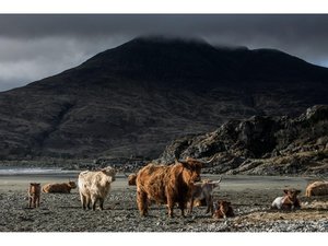 To View CTS Historic Movements