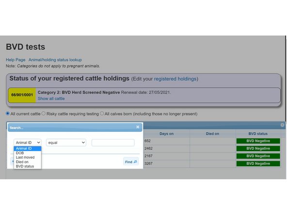 On the search window, a drop down menu will allow you to select Animal ID, DOB, Last moved, Died on or BVD status.