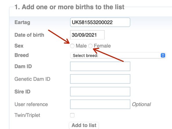Record the sex of the calf by clicking the Male or Female button.