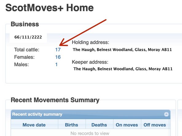 From your ScotMoves+ Home Page, click on the number of animals at 'Total Cattle'.