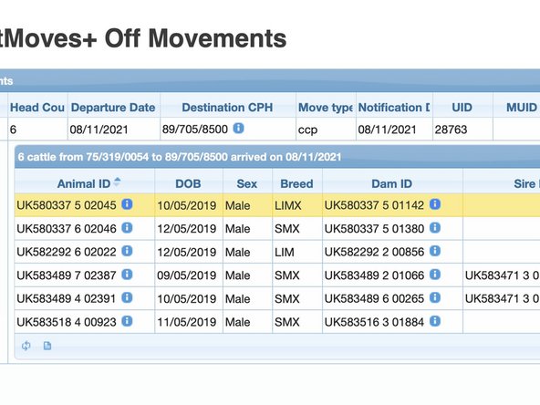 The search returns the group move the individual animal ID is in