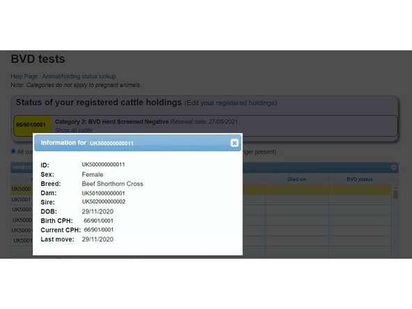 Click on the blue i information symbol next to the Animal ID and a new window will display further details of the animal's Sex, Breed, Dam ID, Sire ID, DOB, Birth CPH, Current CPH &amp; last move.