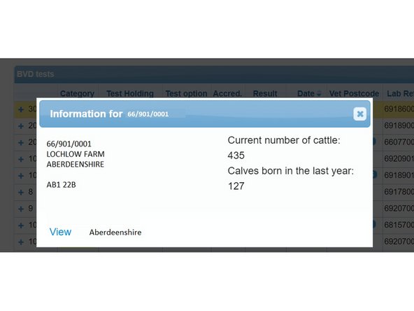 Click on the i information symbol next to the CPH number for the holding address, current number of cattle and calves born in last year.