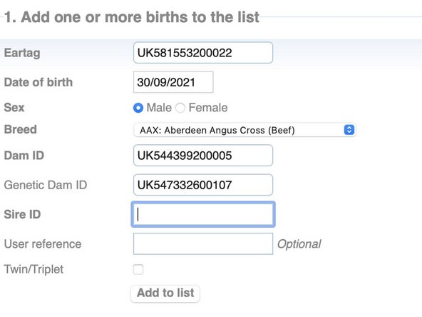Select the Dam of the calf from the list.