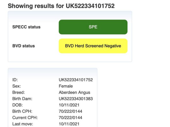 Calf detail displayed: