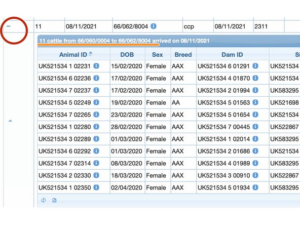 Clicking the '+' on the left of the row - opens the detail view providing all the animal IDs and their data.