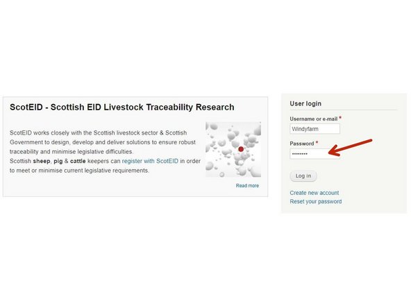 Enter your password here.