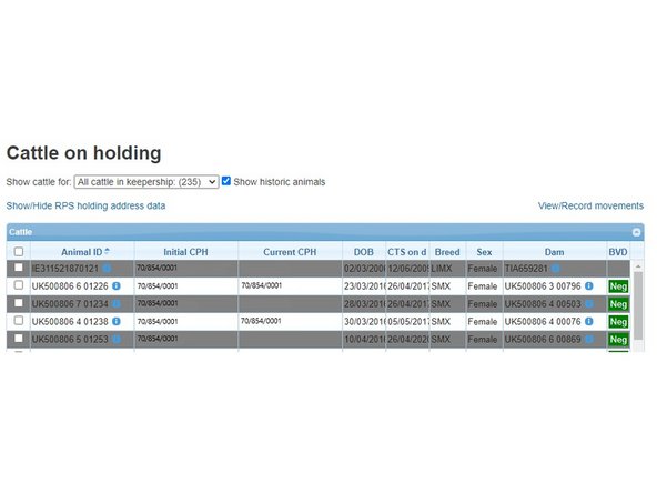 If there are any historic cattle to show, they will be greyed out in the box showing all cattle, so that you can distinguish which cattle remain on the holding, and which have left the holding (greyed out)