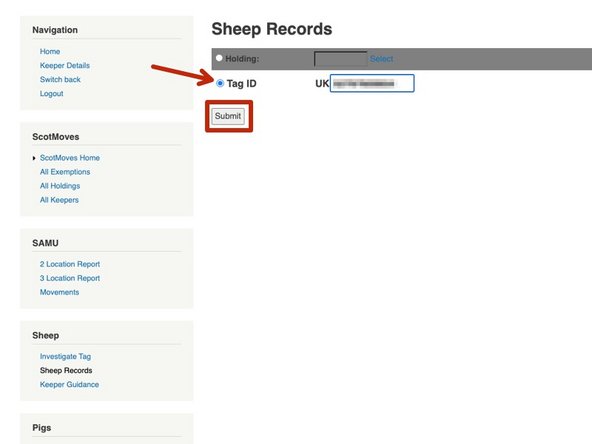 To search by an animal ID, select Tag ID as shown in red and click submit.