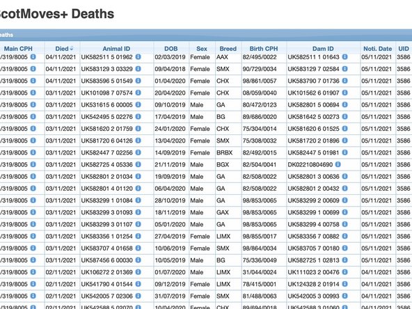 Select 'Main CPH' to search on