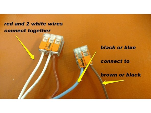 Install the bed heater wires into the Wago Connectors as shown. Ensure that the wires are stripped the correct length first.