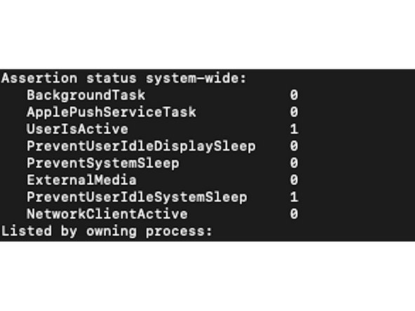 Step 2 will list active assertions and their owning application or process. Expect to see audio visual, network sharing, or printing related responses