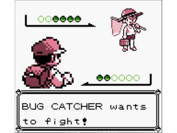 Fight the Bug Catcher below, not the Lass above.