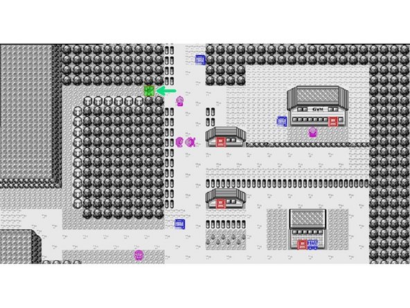 Head North towards Viridion Forest picking up this potion along the way.