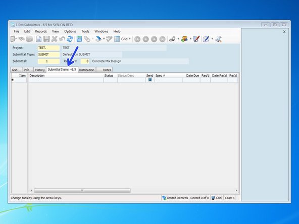 Click on the Submittal Items tab to put a table of all the items being submitted.