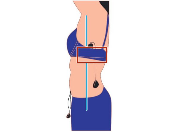 Identify the imaginary line from your hipbone to your left underarm