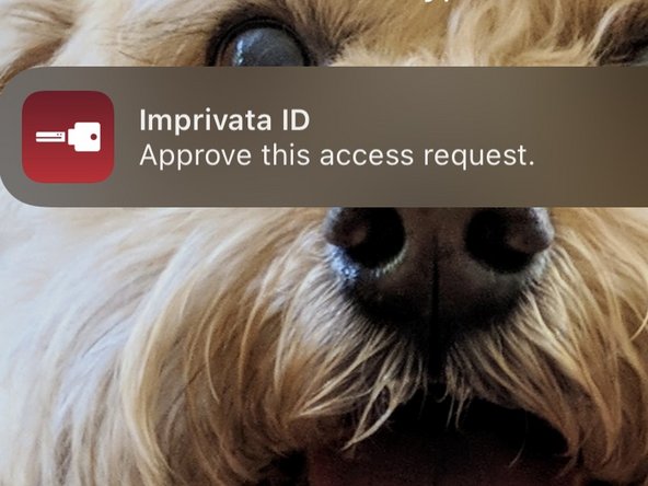 When prompted to Approve on your Smartphone