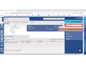 Adding a Medication Flow Sheet to a Case