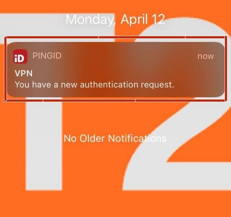 Check your mobile phone for a PingID authentication request.
