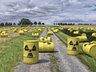 D - Transport the Nuclear Waste