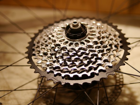 To fit the EX cog, the 17t cassette cog and spacer will need to be left out