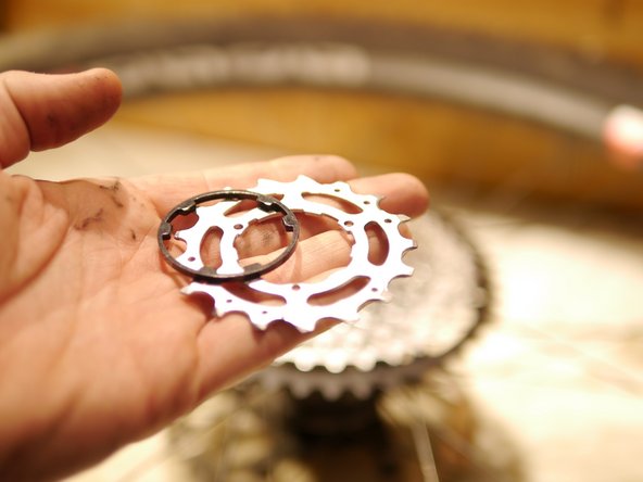 To fit the EX cog, one of the cassette cogs will need to be left out