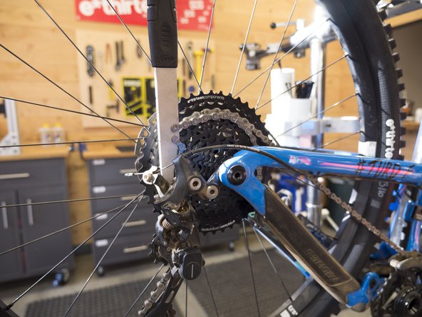 Put the chain whip on the steel portion of the cassette, orient it to turn the steel sprocket assembly counter-clockwise.