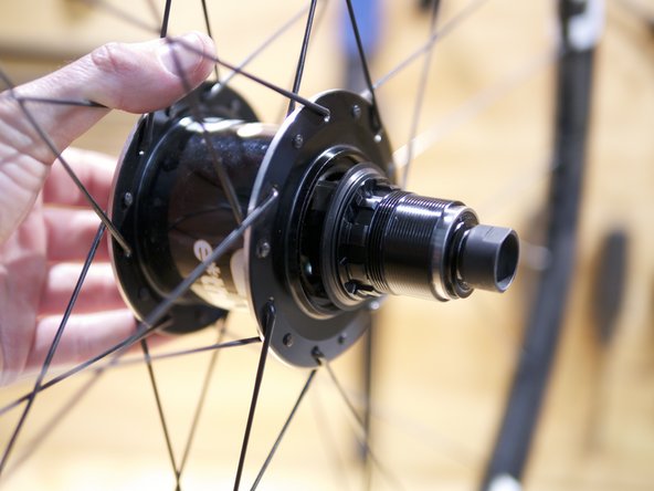 Turn the freehub body counter-clockwise to compress the pawls into the ratchet ring in the hub shell