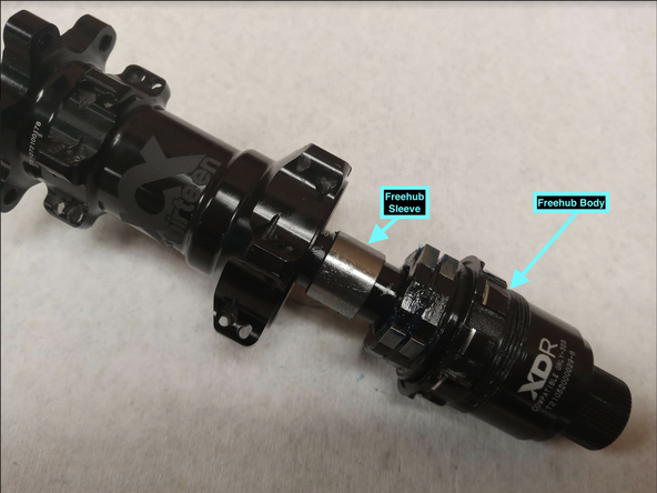 Once the non-drive endcap is removed you can pull the freehub and axle out of the hub shell.