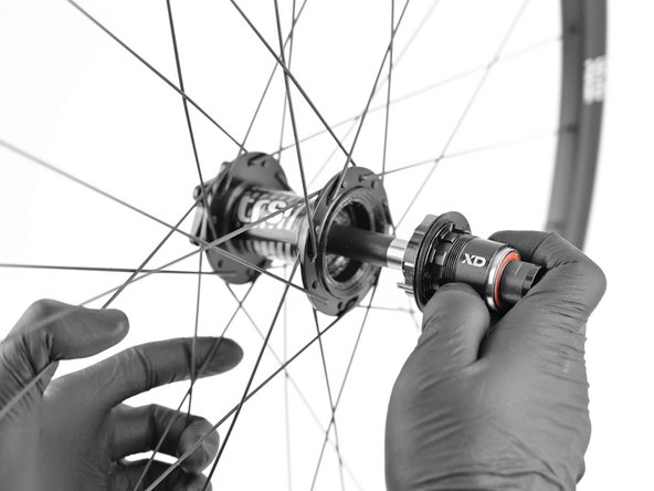 Unthread the non-drive endcap and pull the freehub/axle out of the hub.