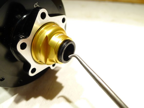 135x12 plugs can be removed by pulling them from the lip on the backside using a pick