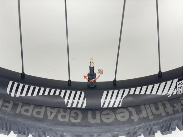 Remove valve stem carrier to access sealant port.