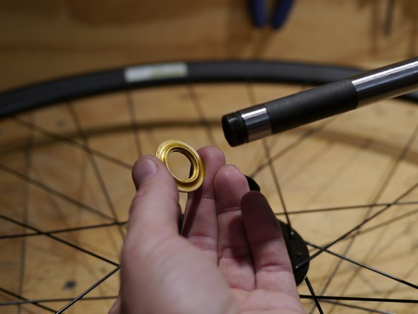 Remove the freehub spacer.