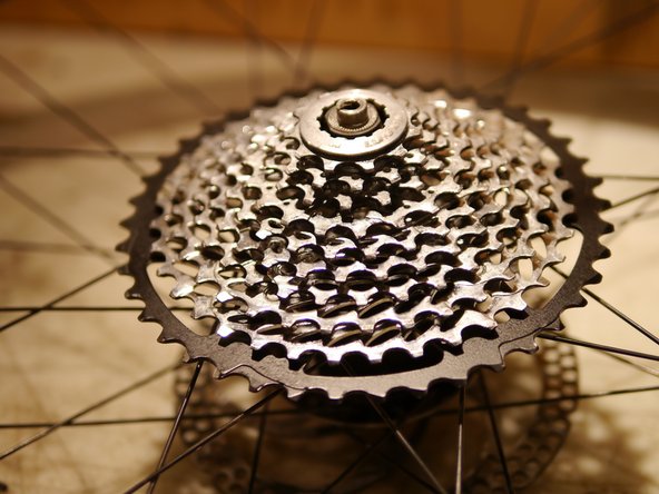 Ex Cog hitting spokes or hub flange
