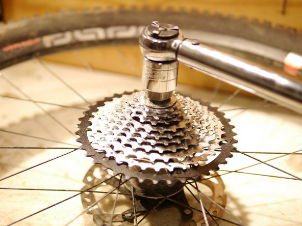 Lightly grease and install the cassette lockring and torque to spec.