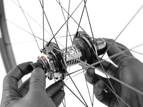 Unthread the non-drive endcap and pull the freehub/axle out of the hub.